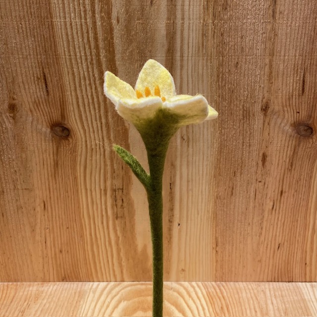 Keltainen lilja - 2