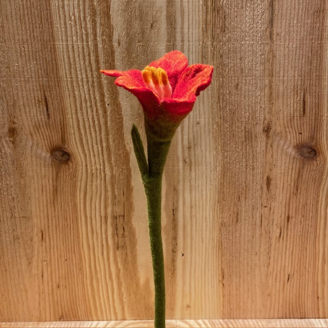 Red lily - 2