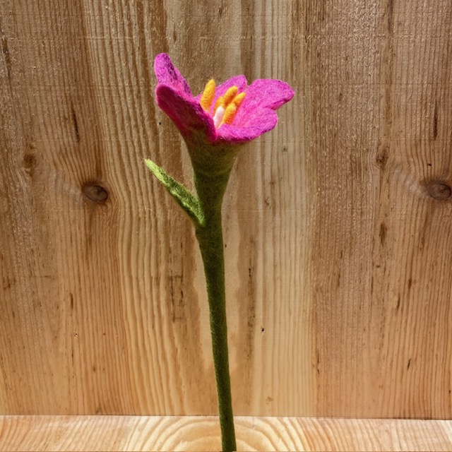 Cerise pink lily - 2