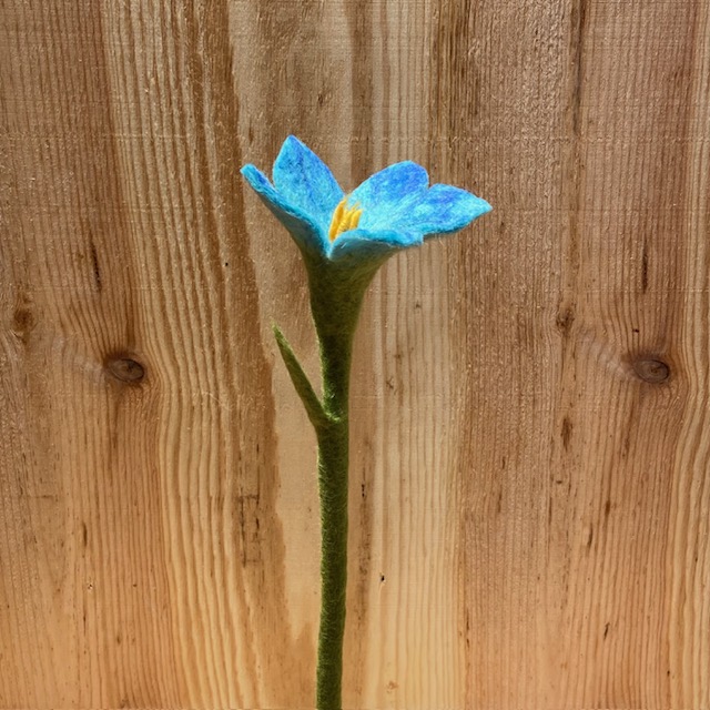 Turquoise Lily - 2