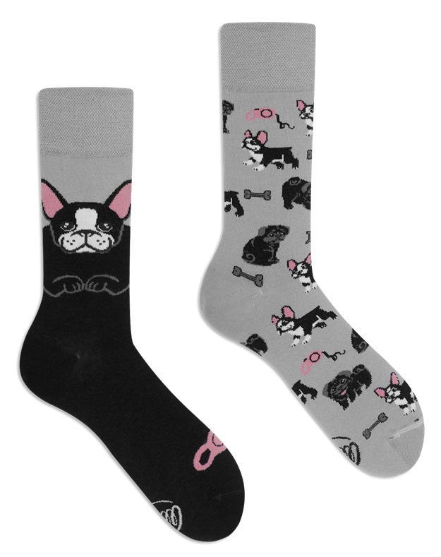 Many Mornings Tiny Little Dogs