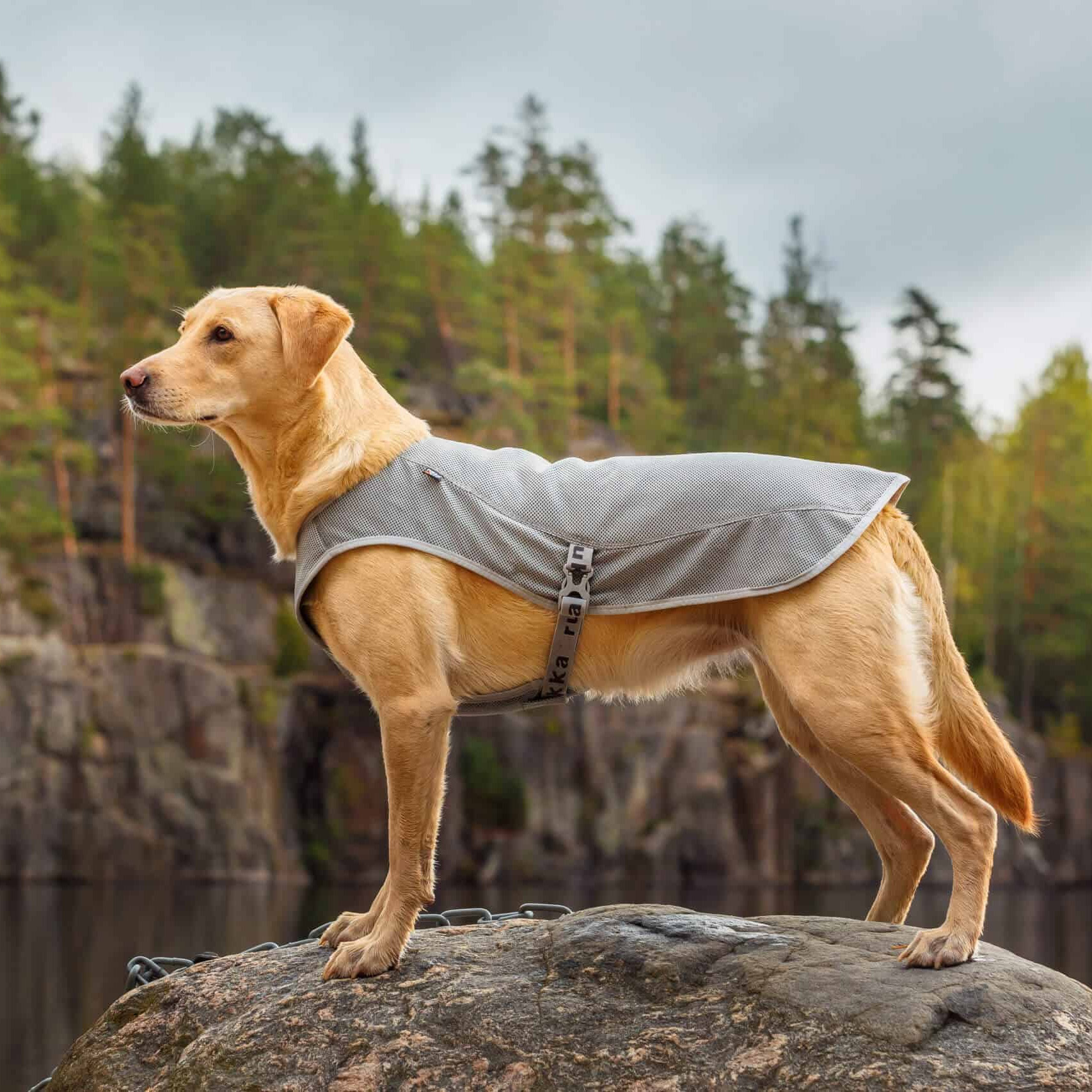 Rukka Cooling Vest - 5
