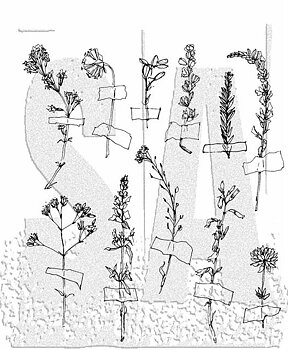 Tim Holtz Cling Stamps 7X8.5 - Forgotten Garden