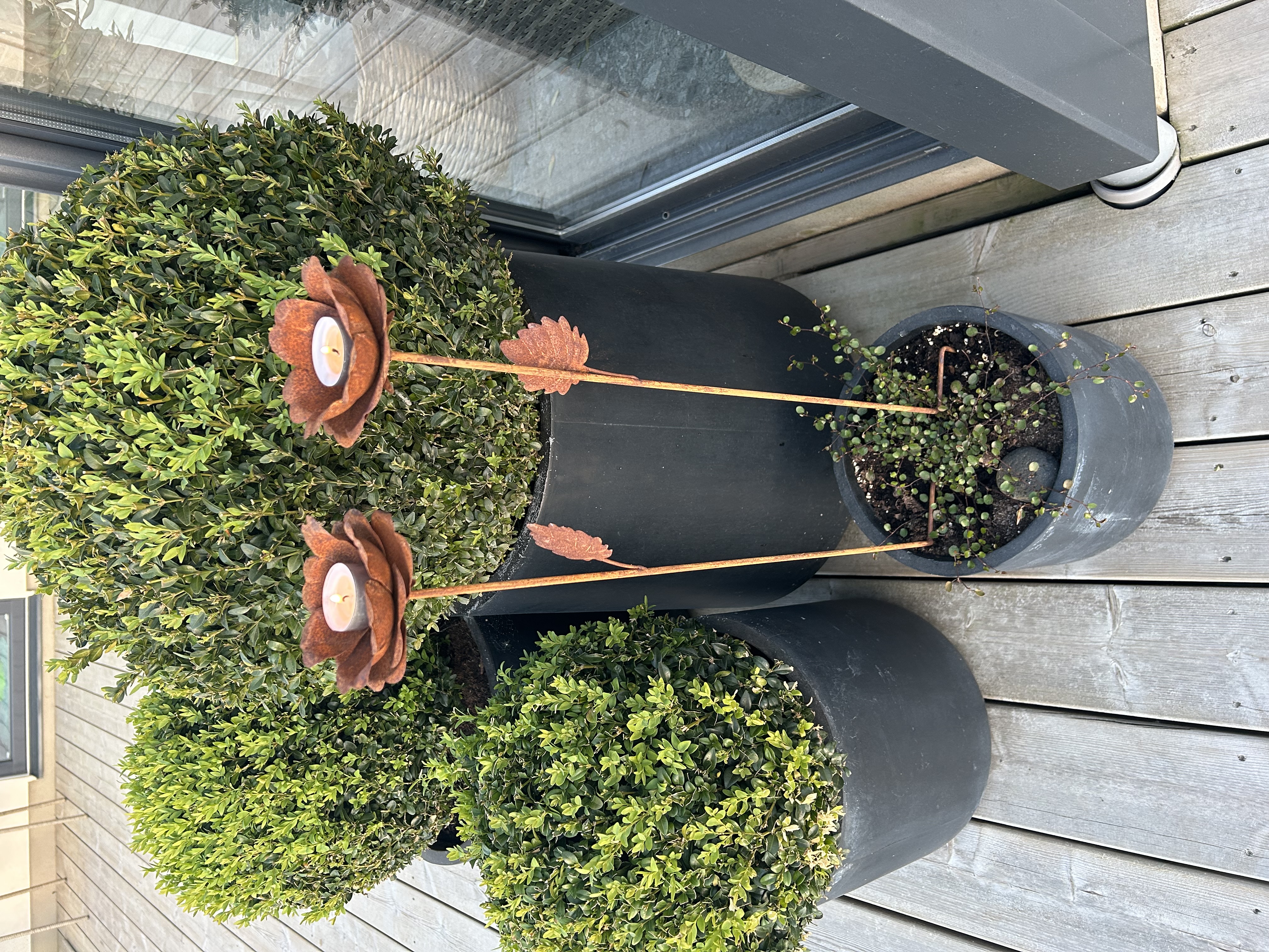 Ljuslykta ros i rostig plåt 78 cm