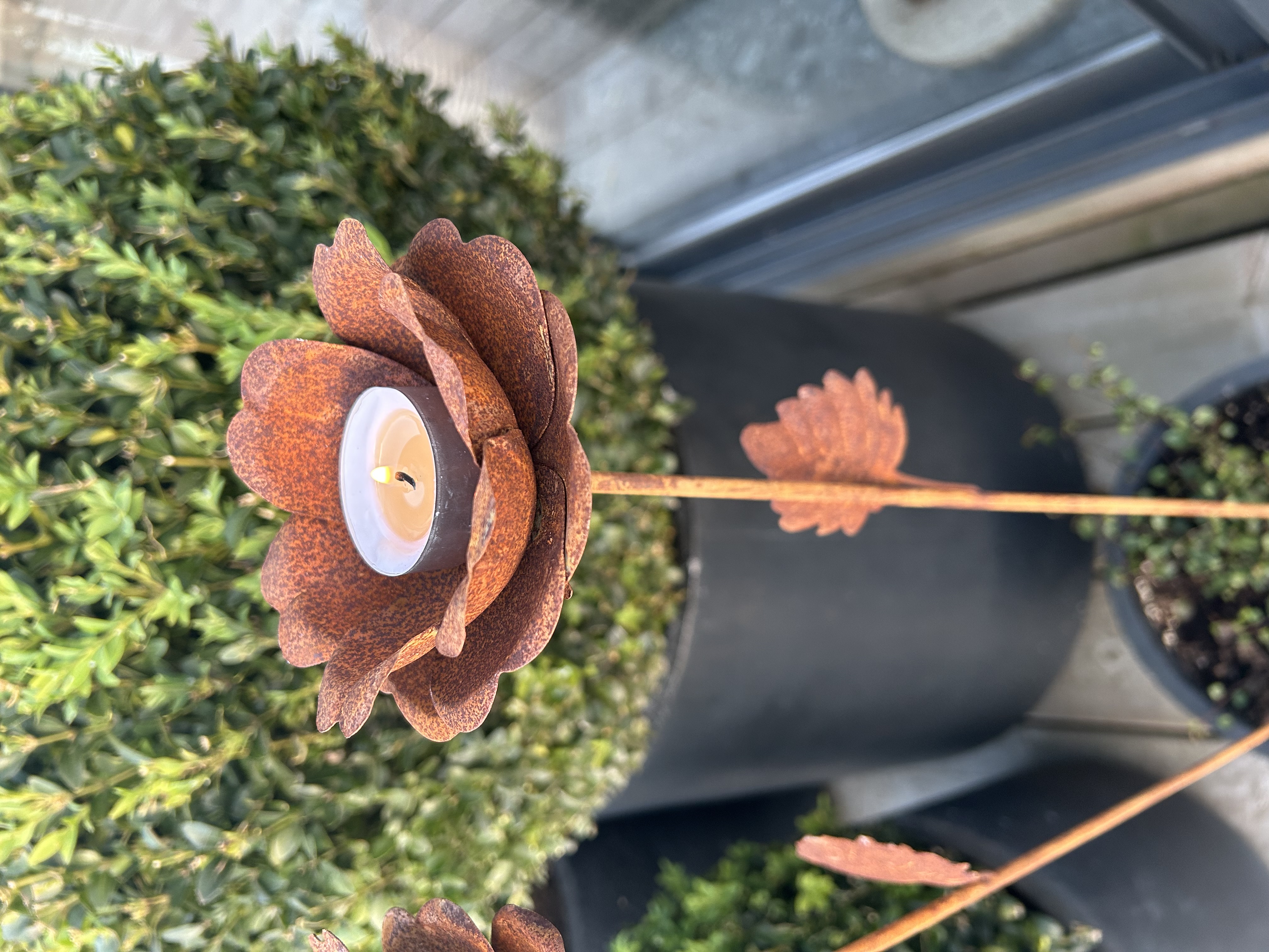 Ljuslykta ros i rostig plåt 78 cm