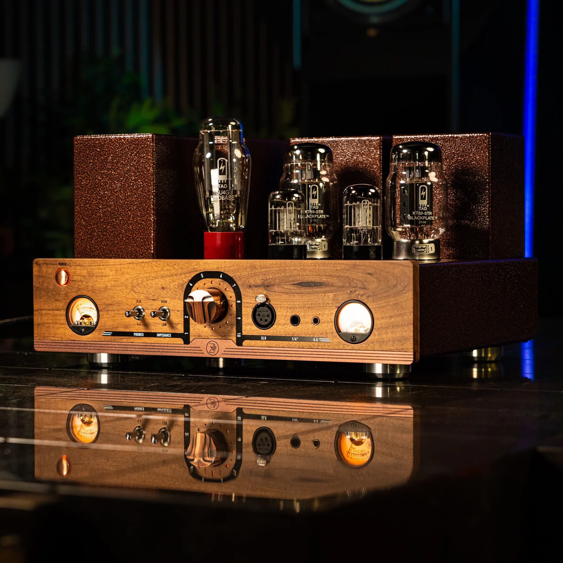 ZMF Aegis Amplifier - 6