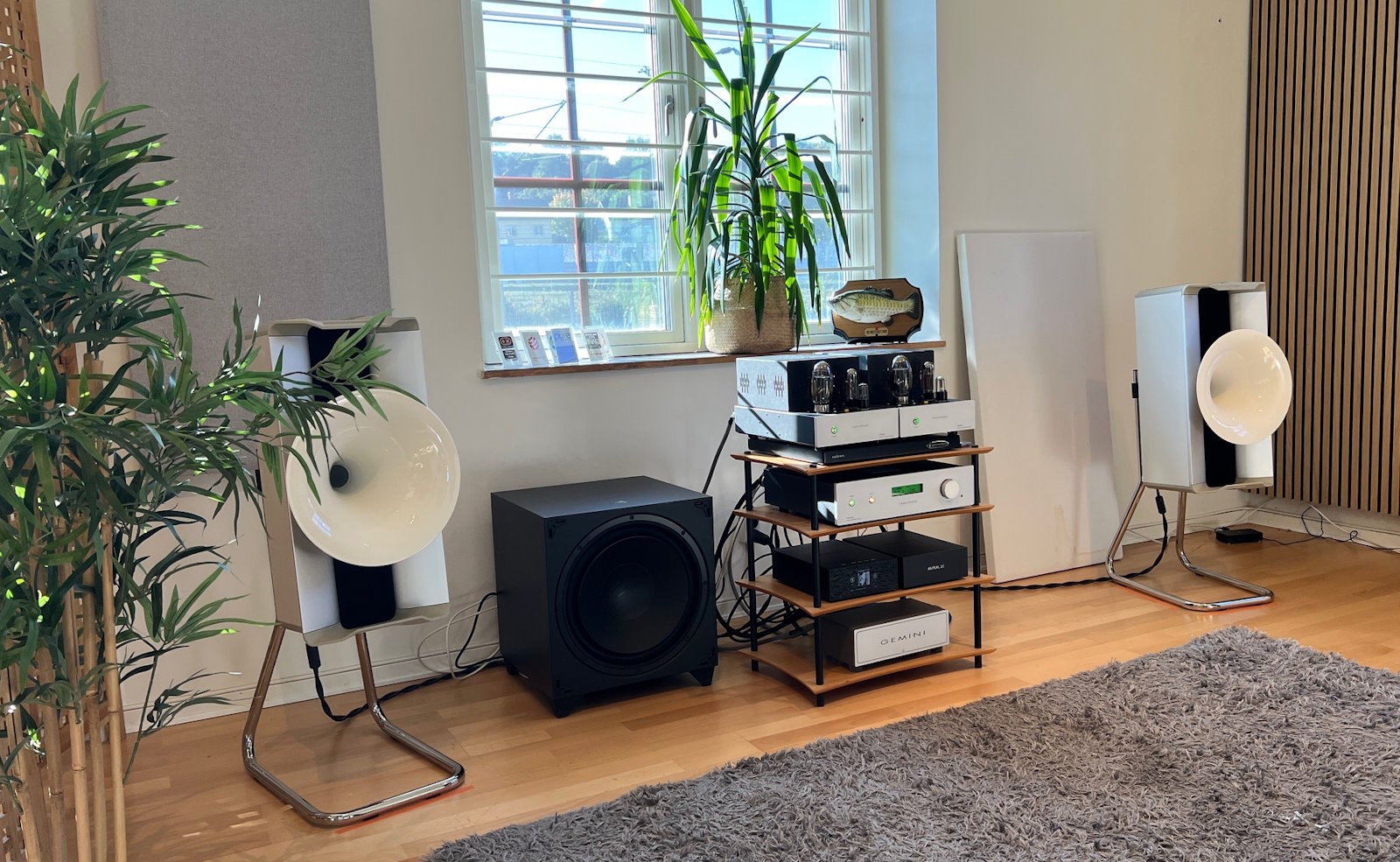 Avantgarde Acoustic Colibri  - 11