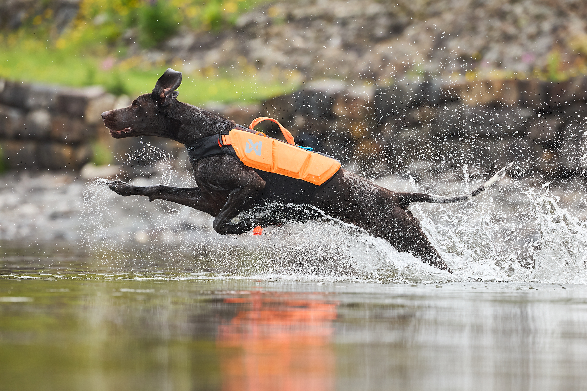 Non-Stop Dogwear Protector Life Jacket Flytväst - Teal