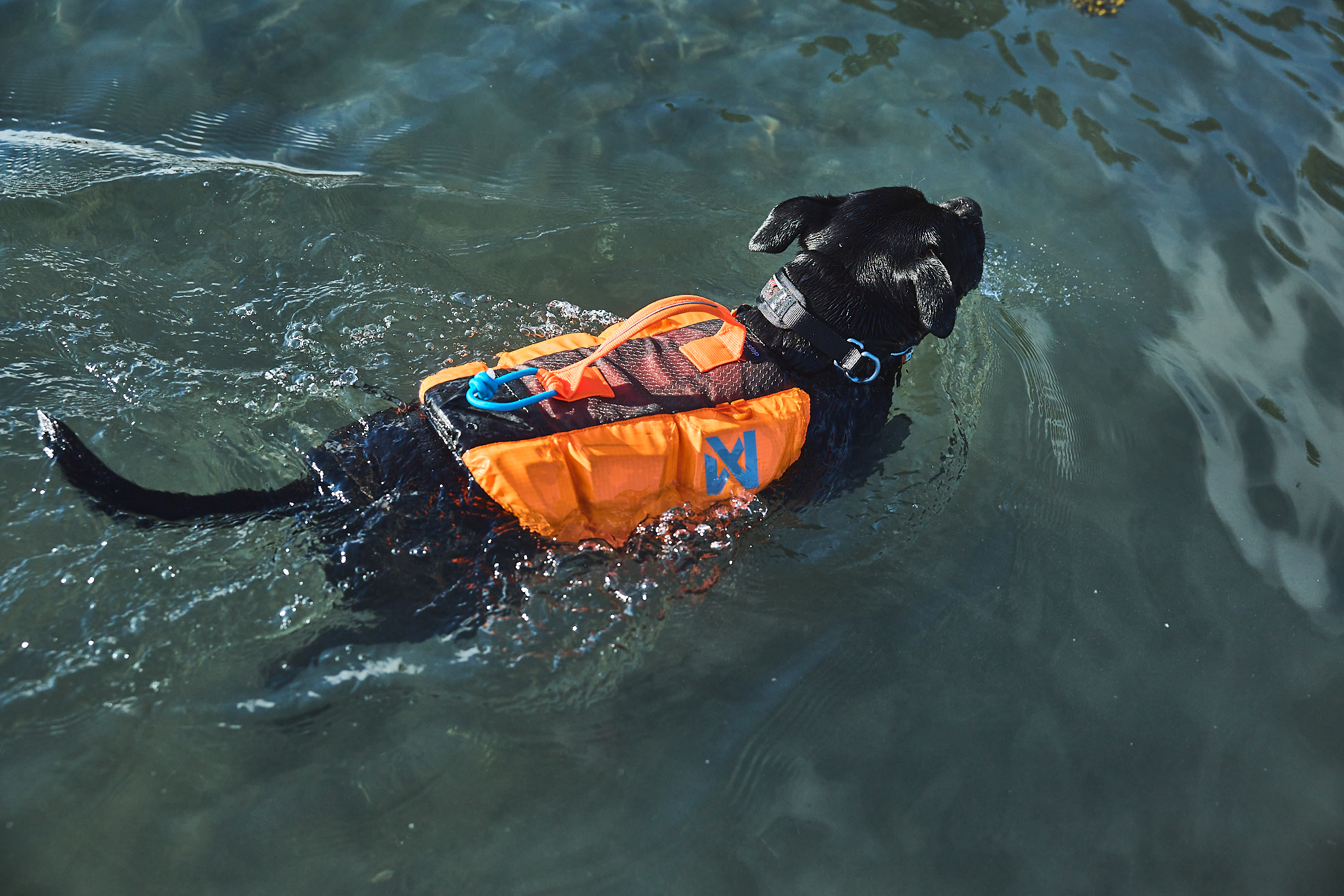 Non-Stop Dogwear Protector Life Jacket Flytväst - Teal