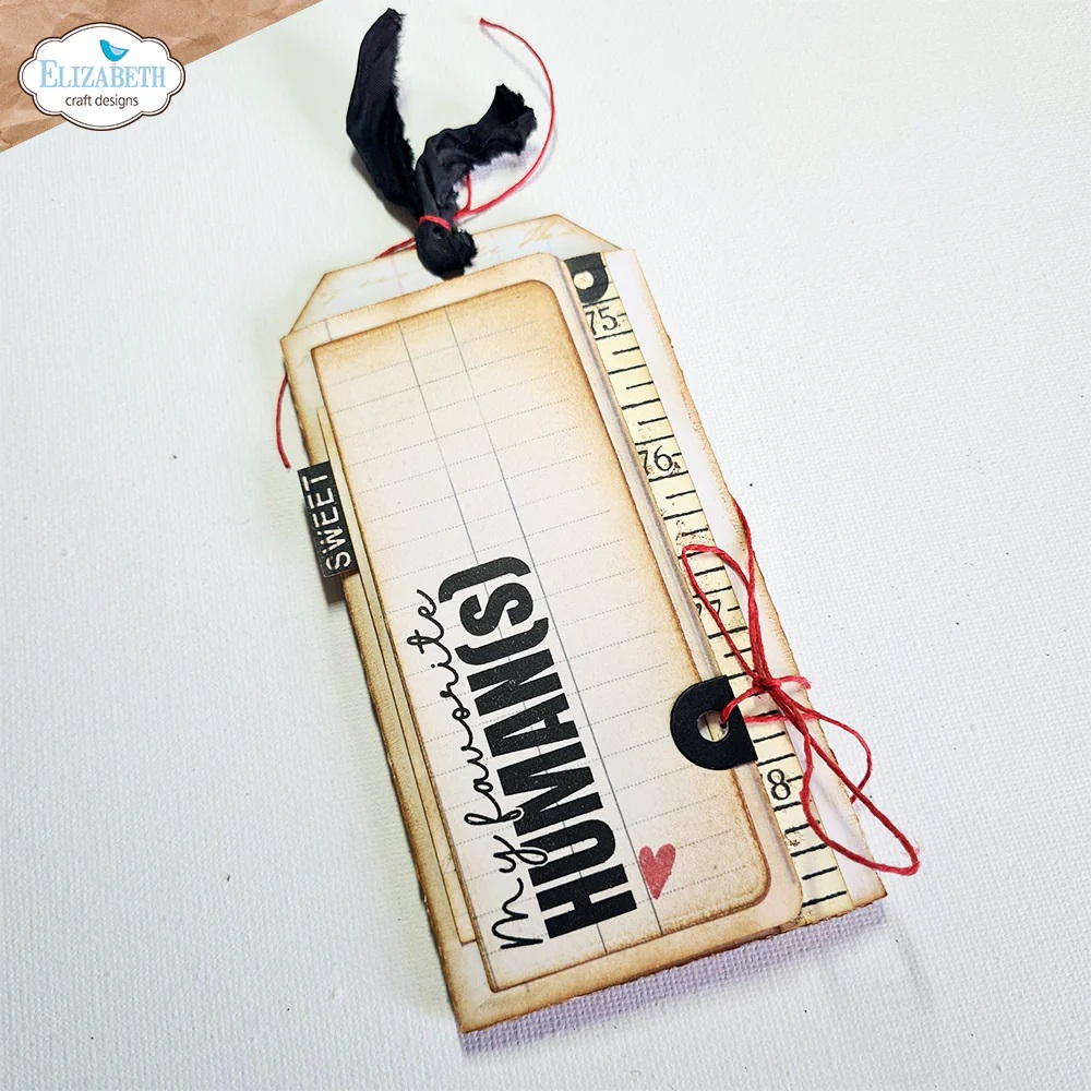 Elizabeth - Measurements - Clear Stamps - 4