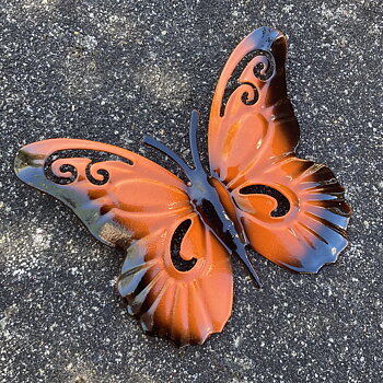 Väggfjäril Orange