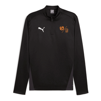 Puma Teamgoal Training 1/4 Zip Top Jersey (HIF / GBK)