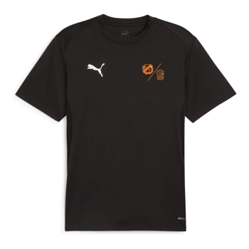 Puma Teamgoal Jersey Jr (HIF / GBK)