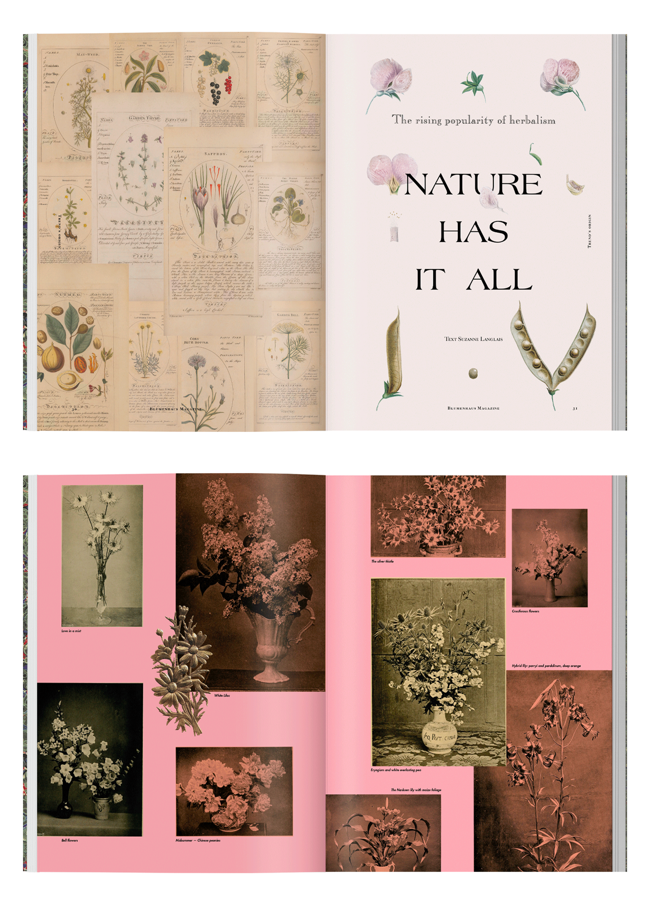 Bok Blumenhaus Nr.1 - 3