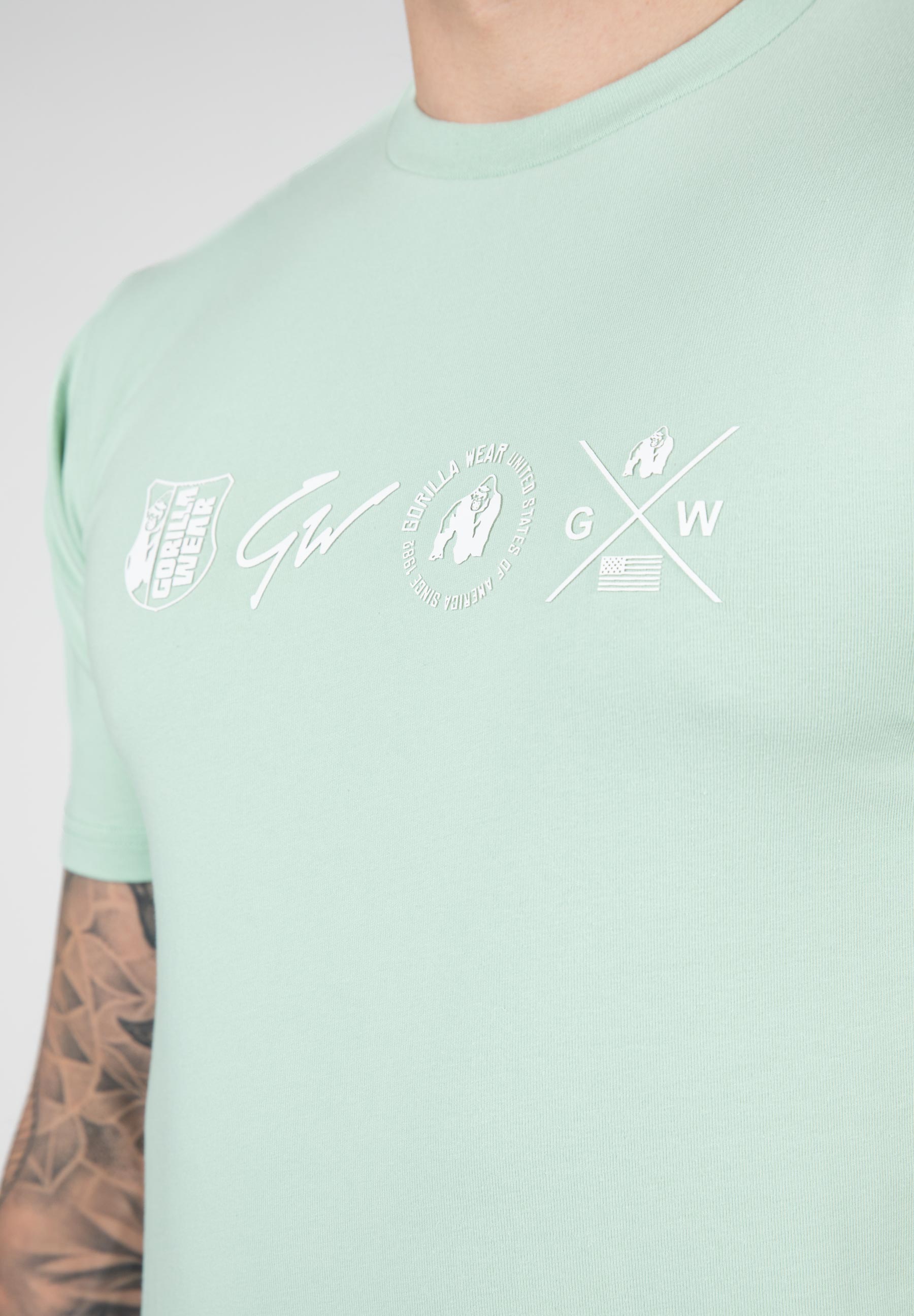 Swanton T-Shirt, green - 4