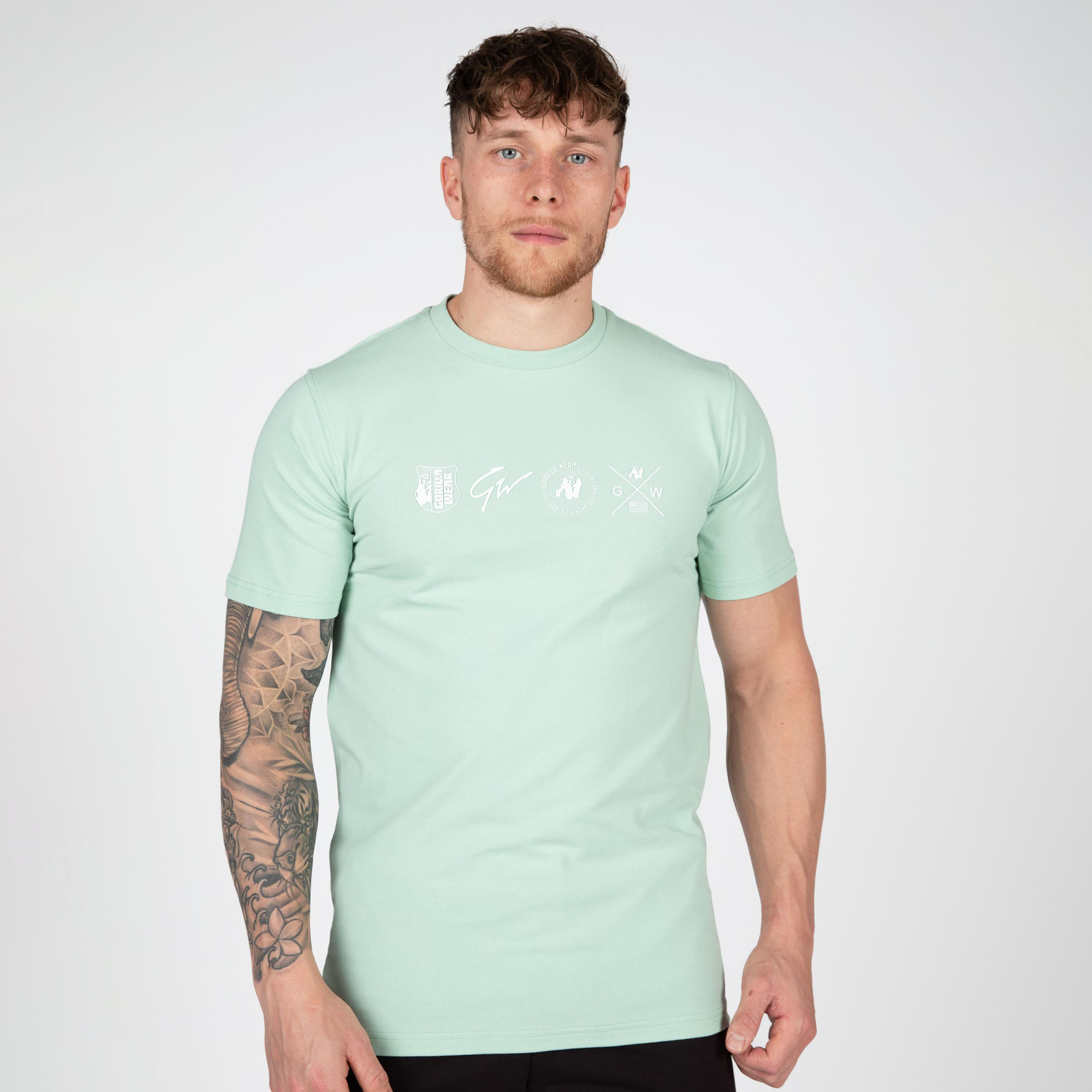 Swanton T-Shirt, green - 3