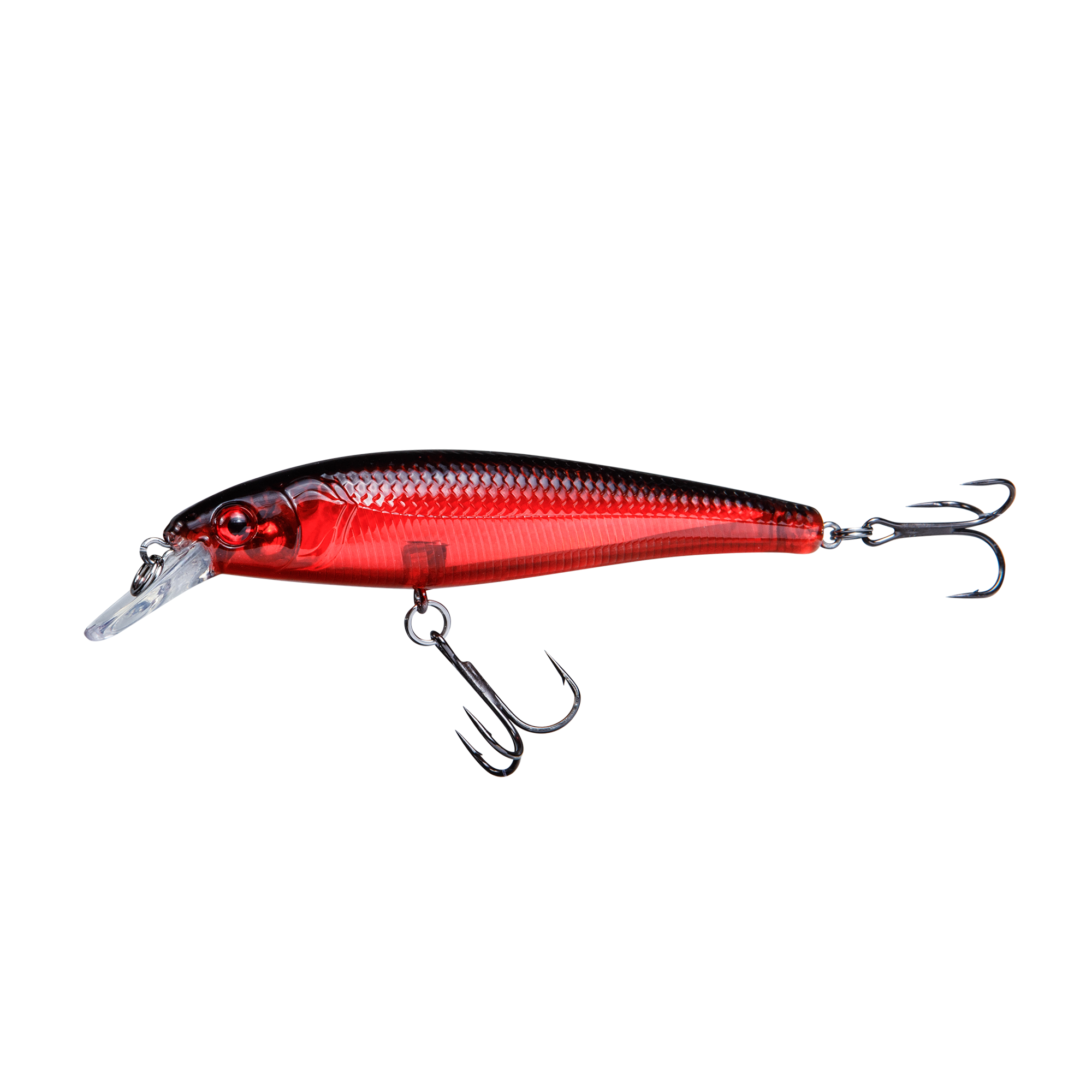 RenzStein Beastly Minnow - 12