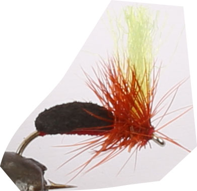 Lullen Yellow  #12