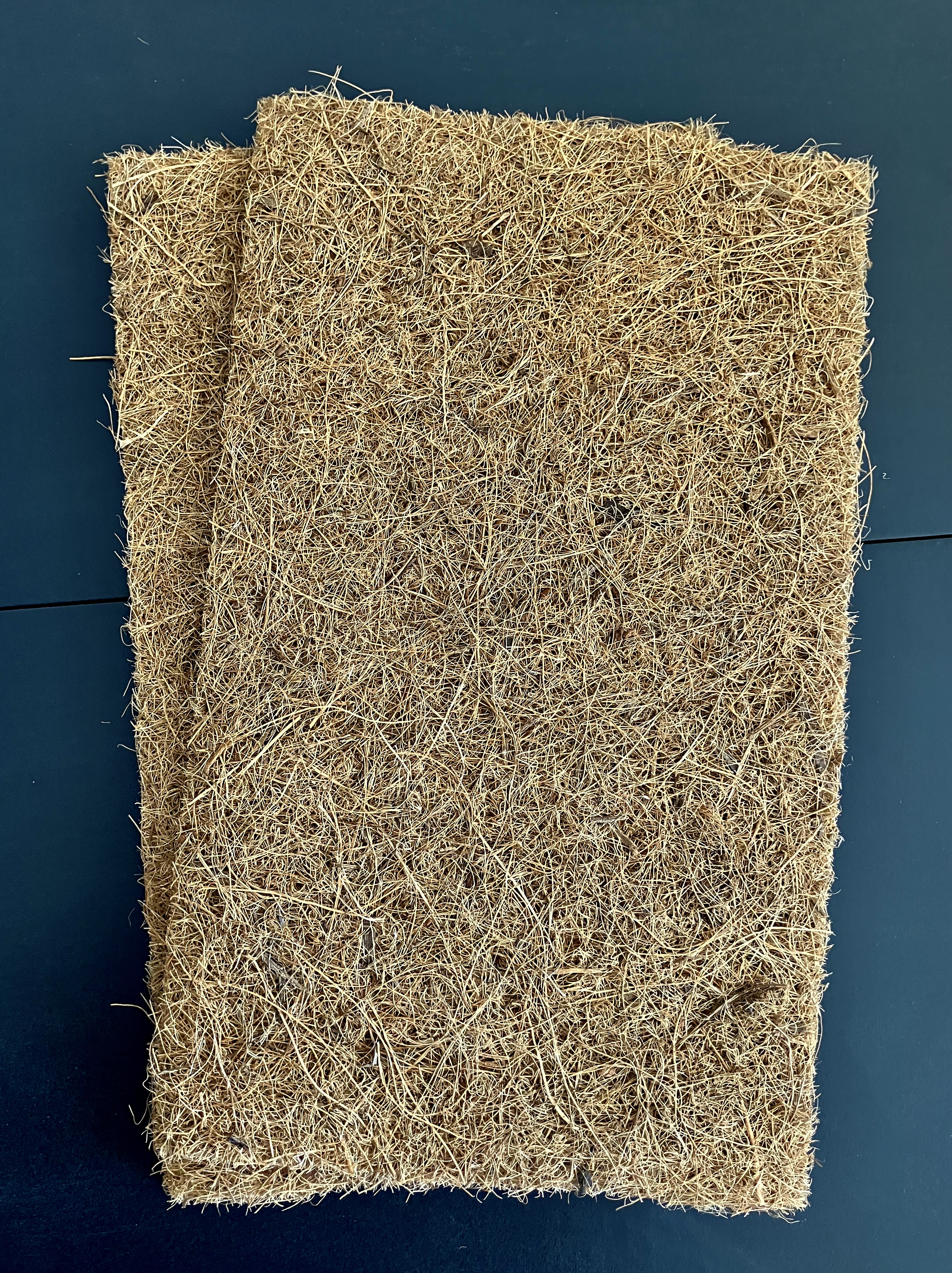 Microgreen Sheet  - 2