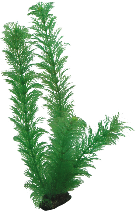 Hobby Plastväxt Egeria 34cm