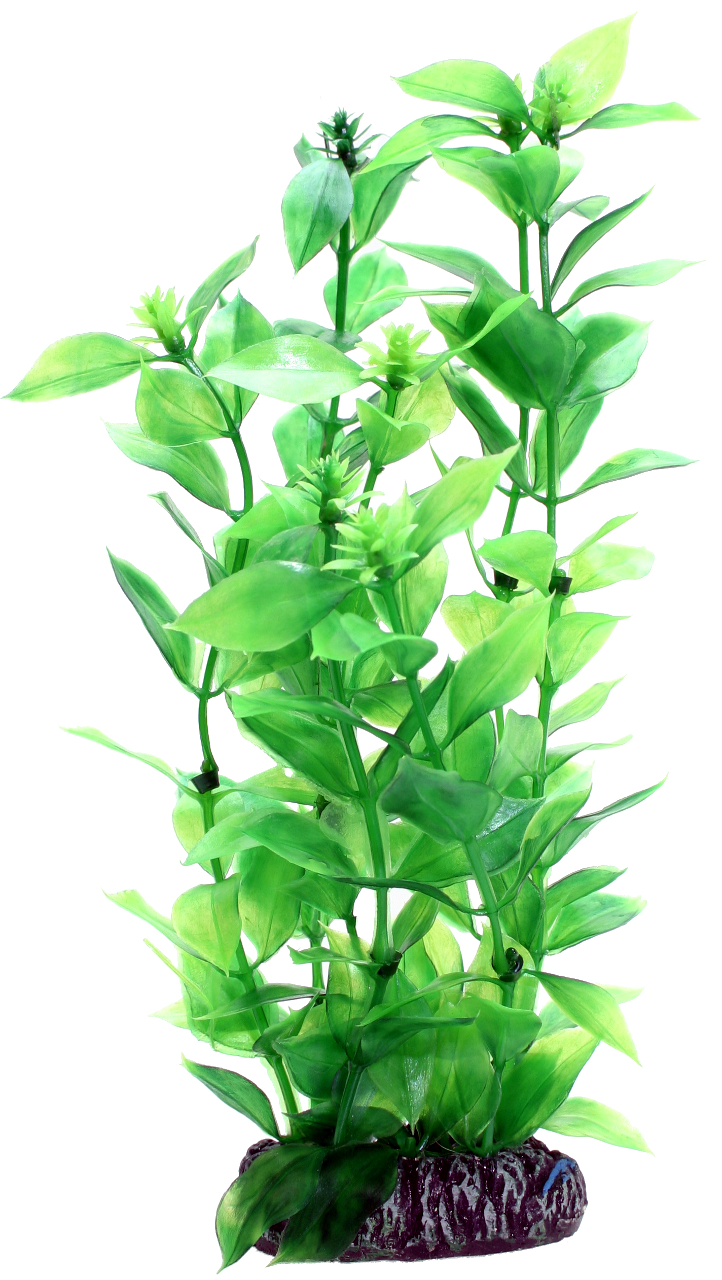 Hobby Plastväxt Hygrophila 20cm