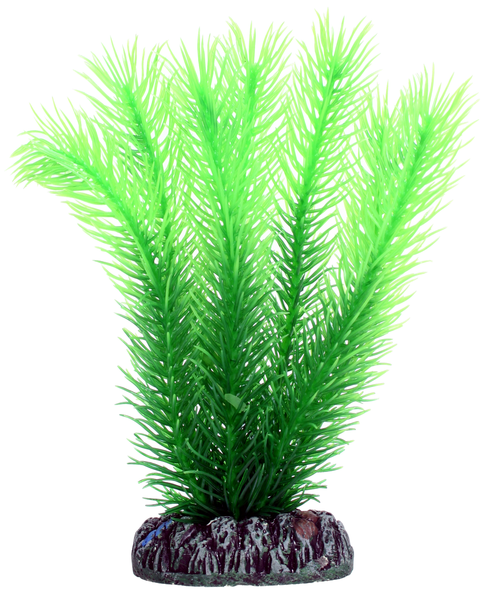 Hobby Plastväxt Mayaca 16cm
