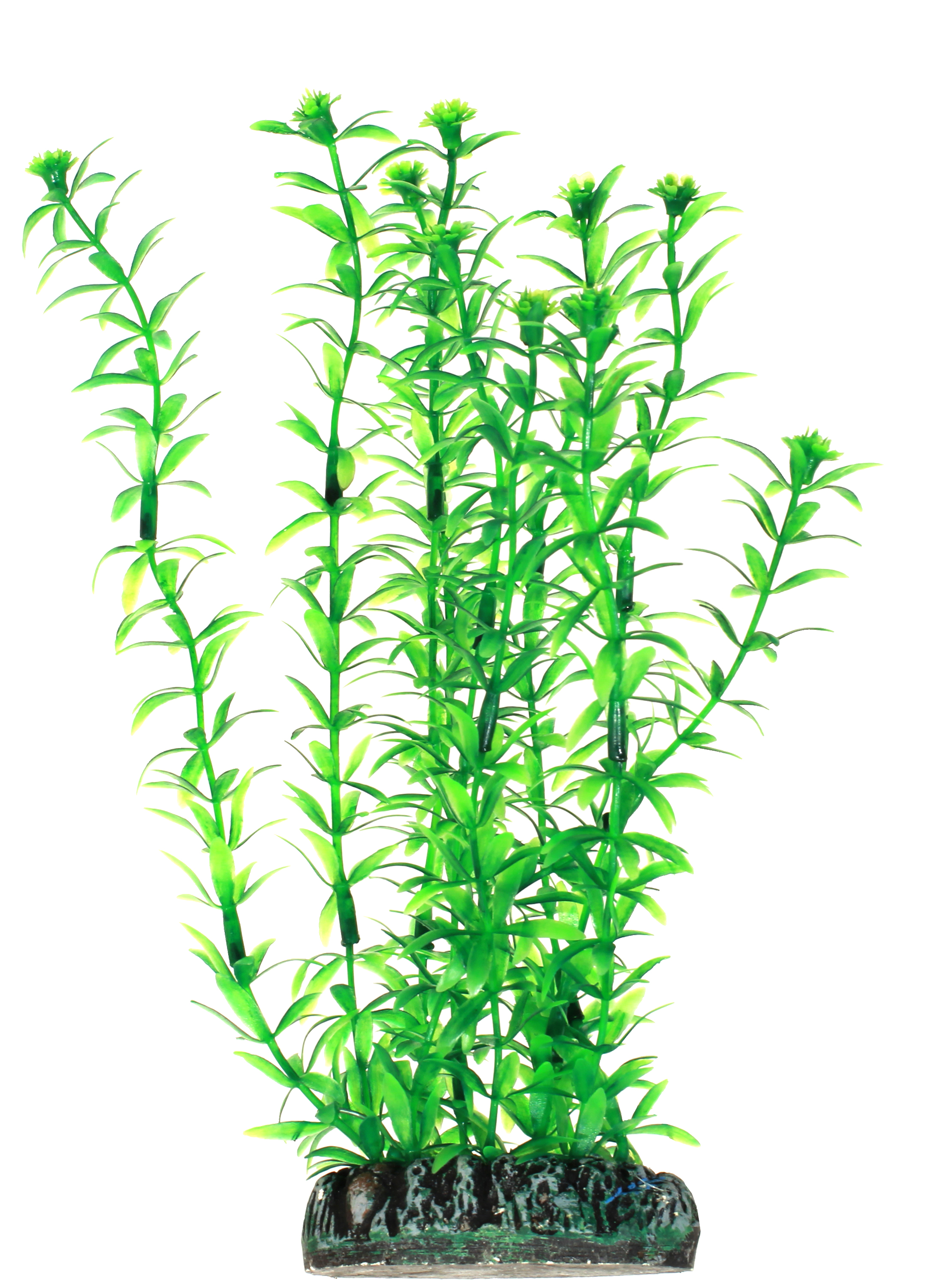 Hobby Plastväxt Lagerosiphon 20cm