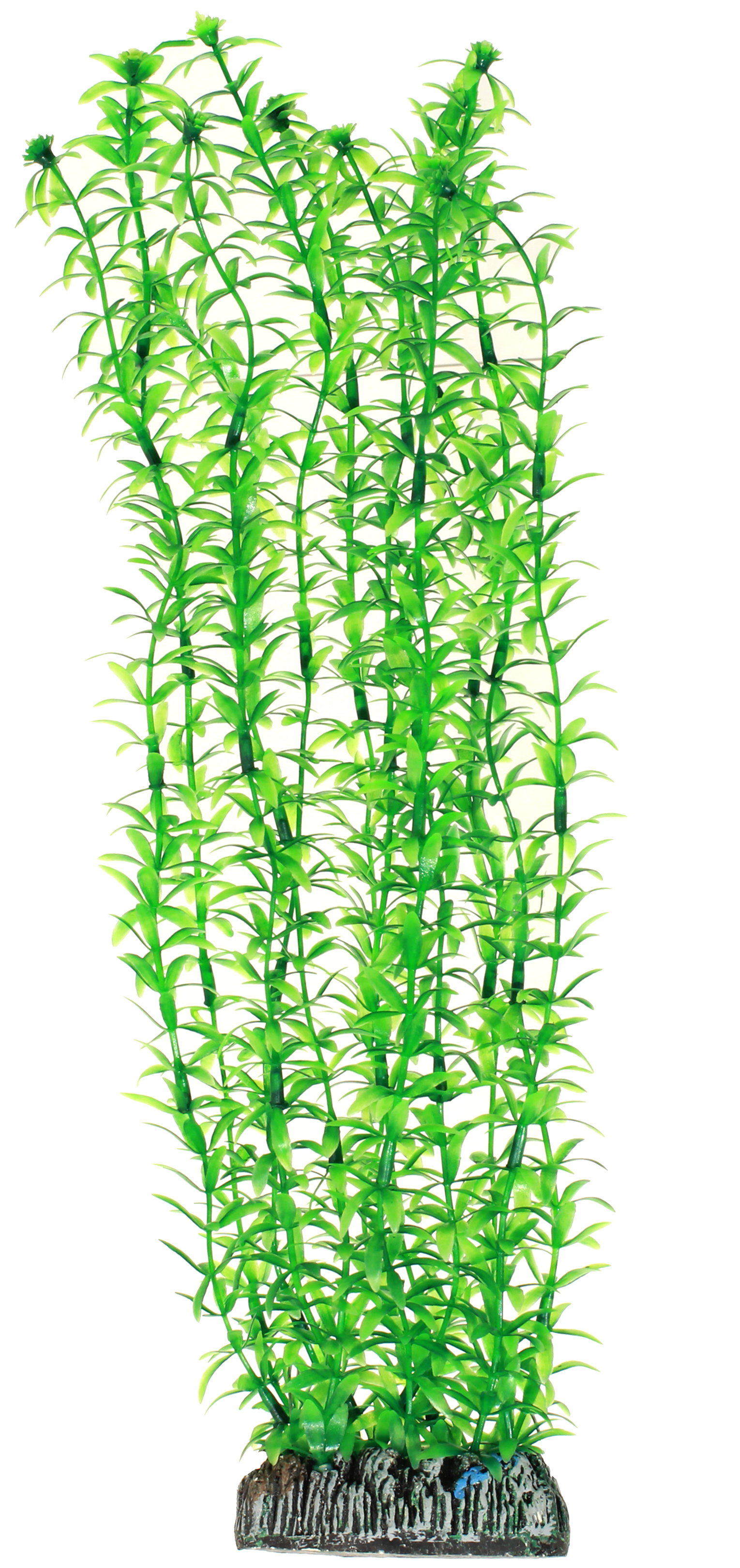 Hobby Plastväxt Lagerosiphon 34cm