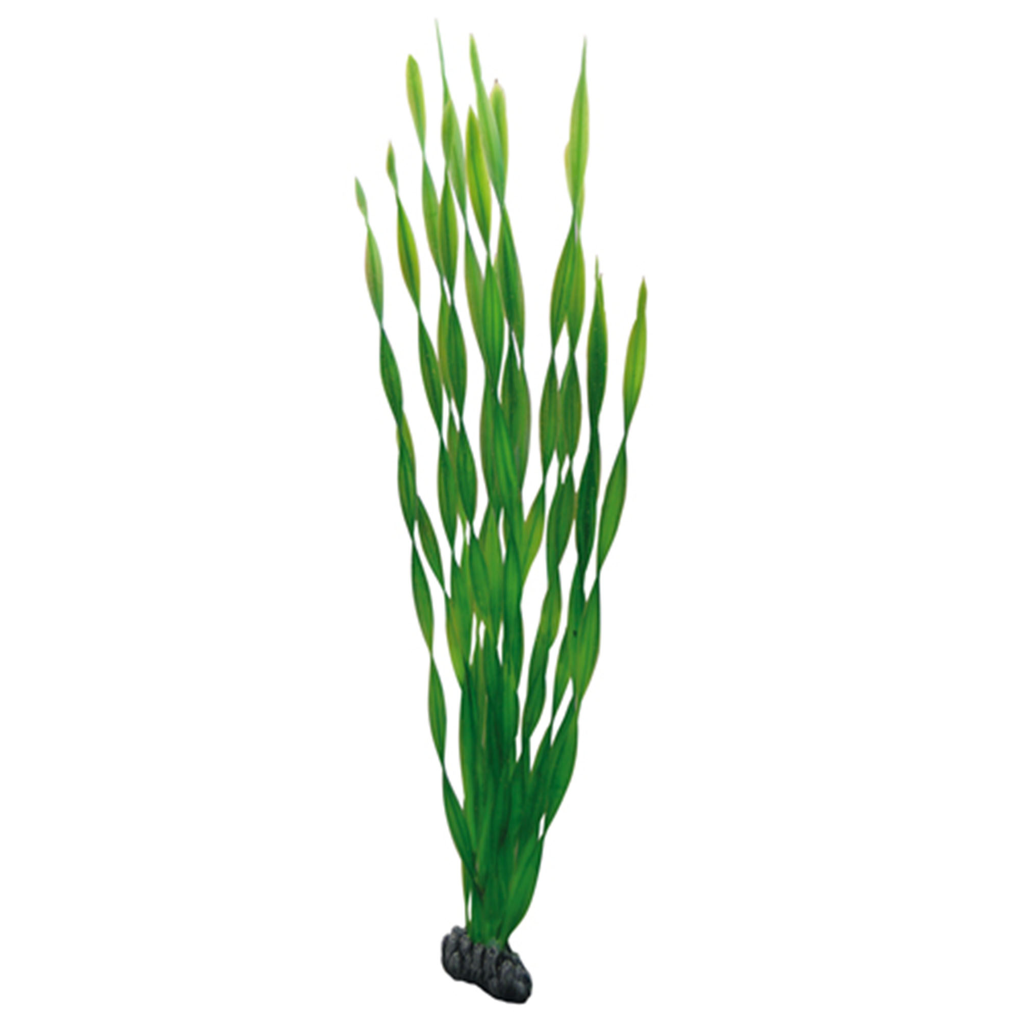 Hobby Plastväxt Vallisneria 60cm