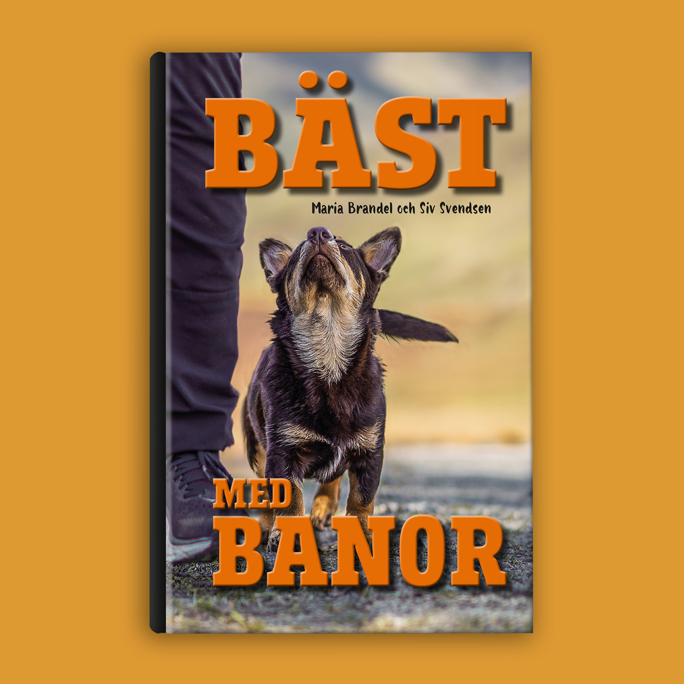 Bäst med banor