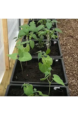 ABC Planter Självbevattnad kruka - 2
