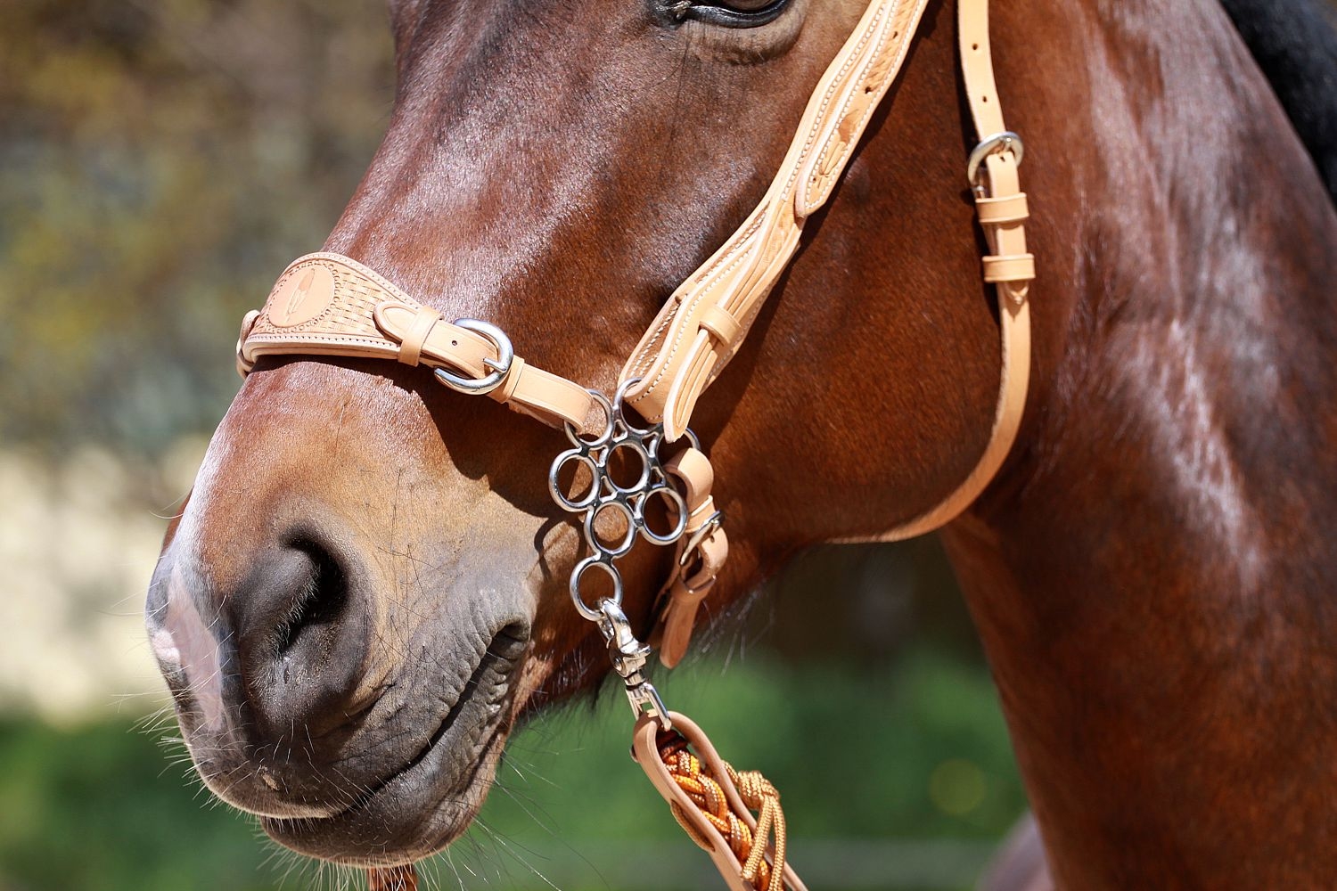 Hackamore shanks - Flower Medium, silver - 5