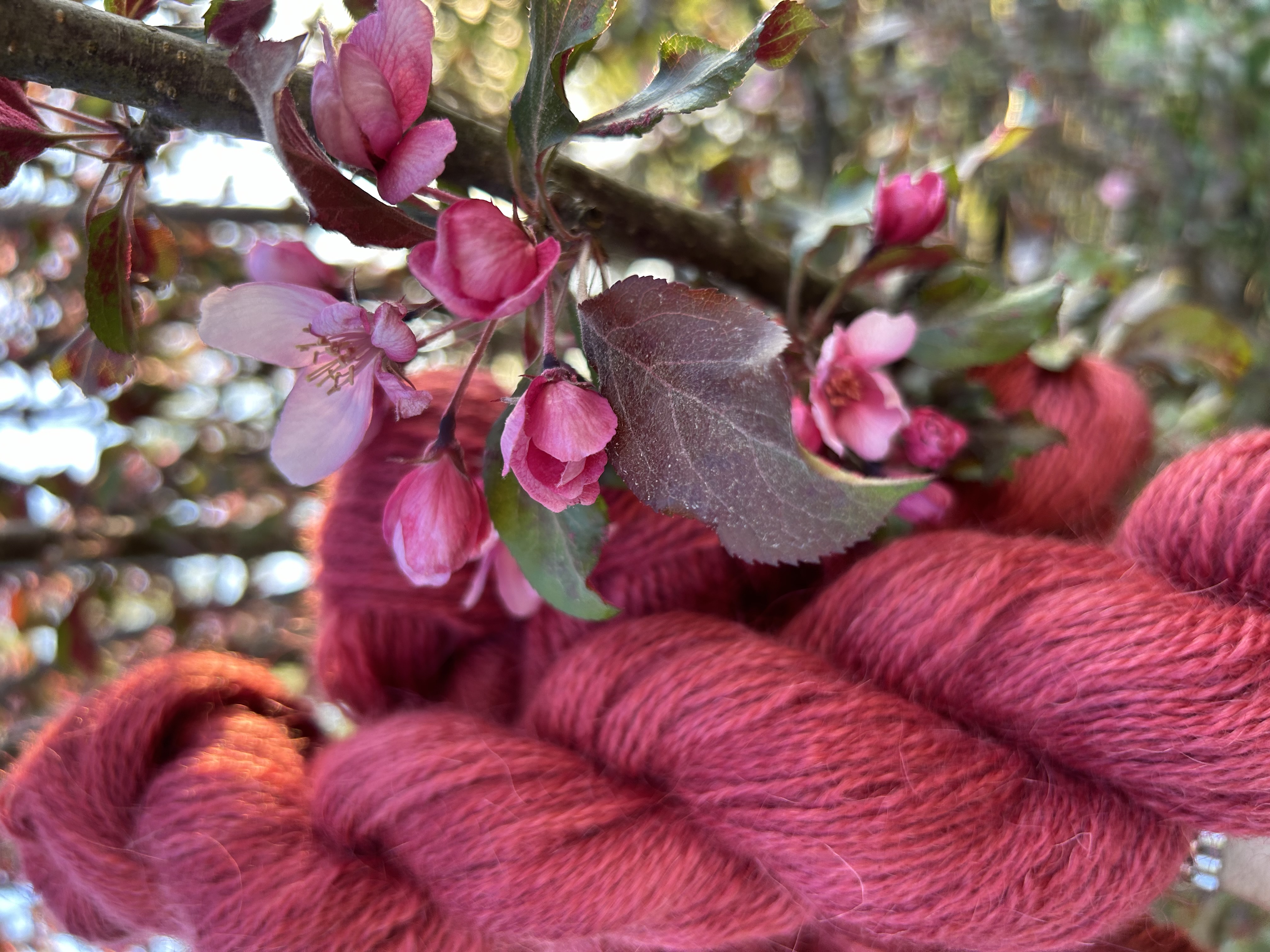 Apple bud 2 stranded Cloverleaf yarn - 2