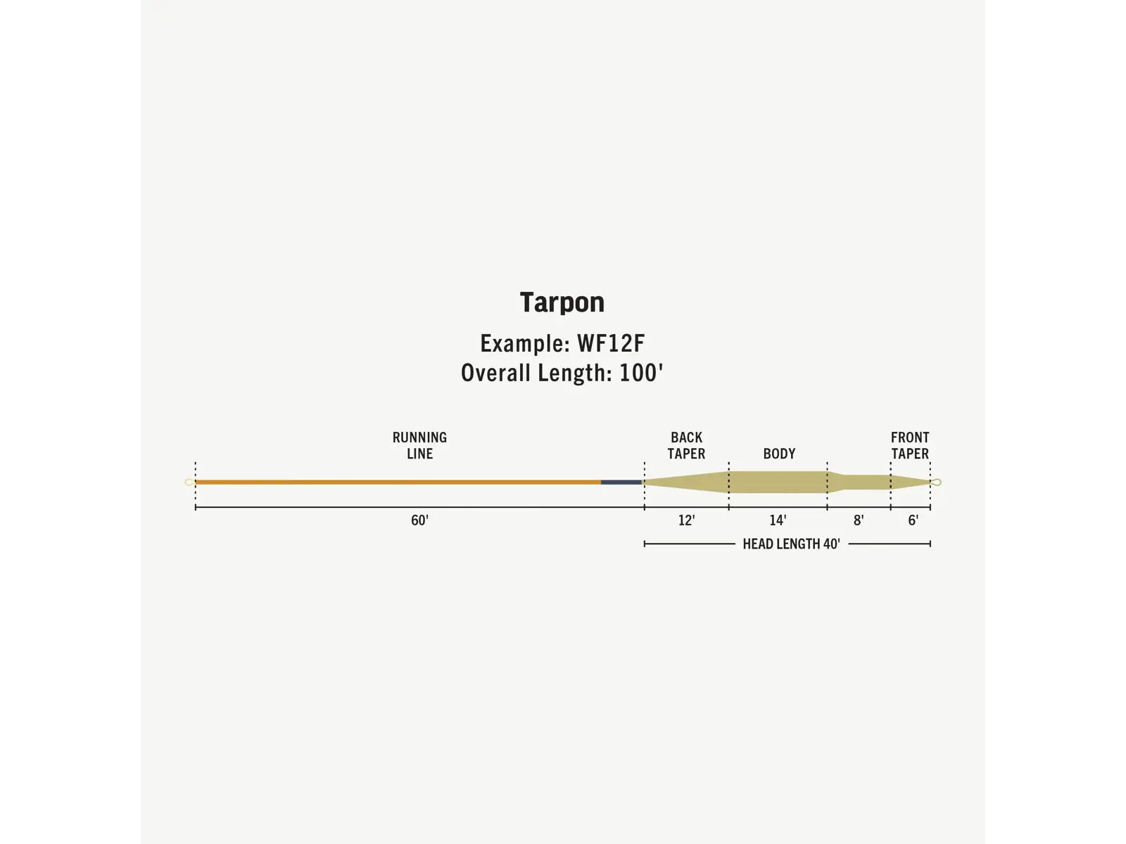 Rio Premier Tarpon - 3