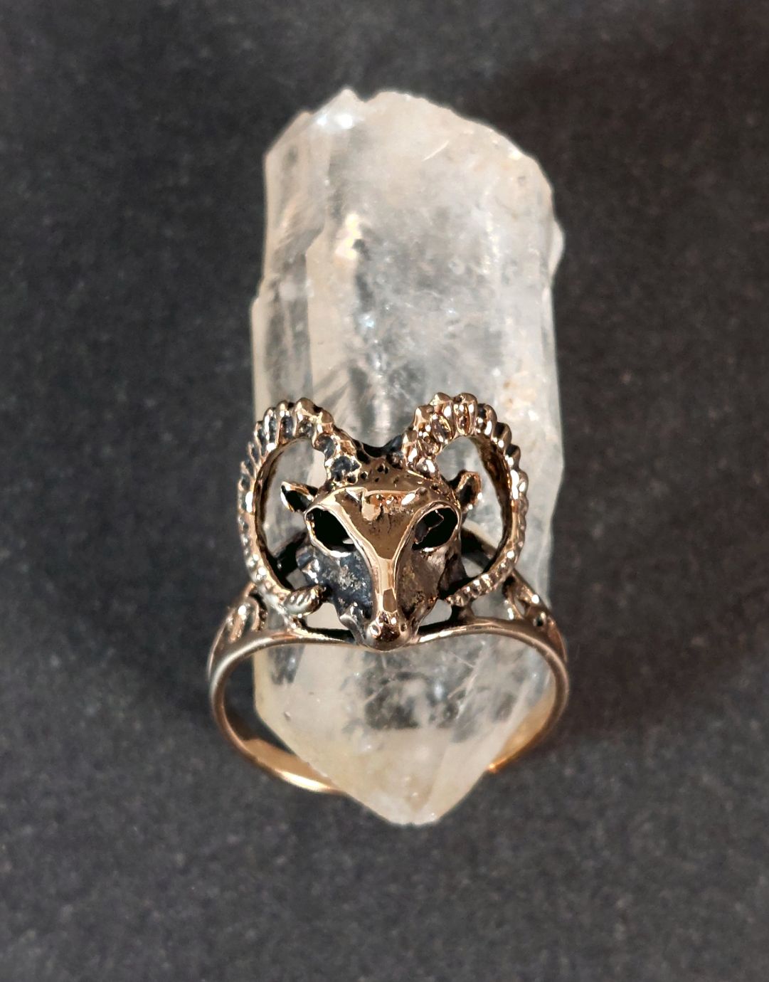 Ring i Brons - Bagge - 2