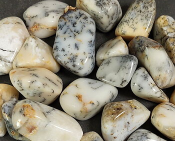 Dendritisk Opal, Vit - Trumlad