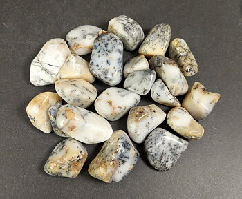 Dendritisk Opal, Vit - Trumlad