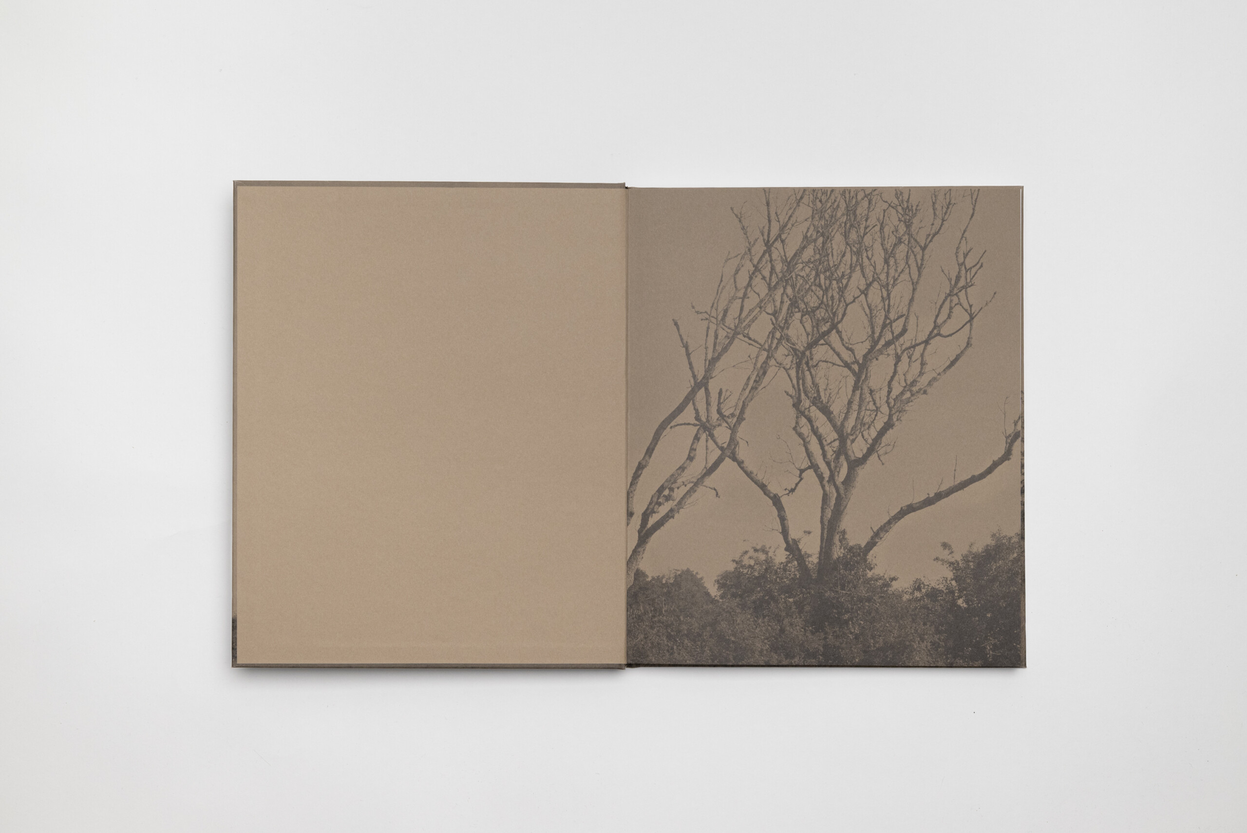 Emanuel Cederqvist, Sean Gardiner - Paler Ash - 6