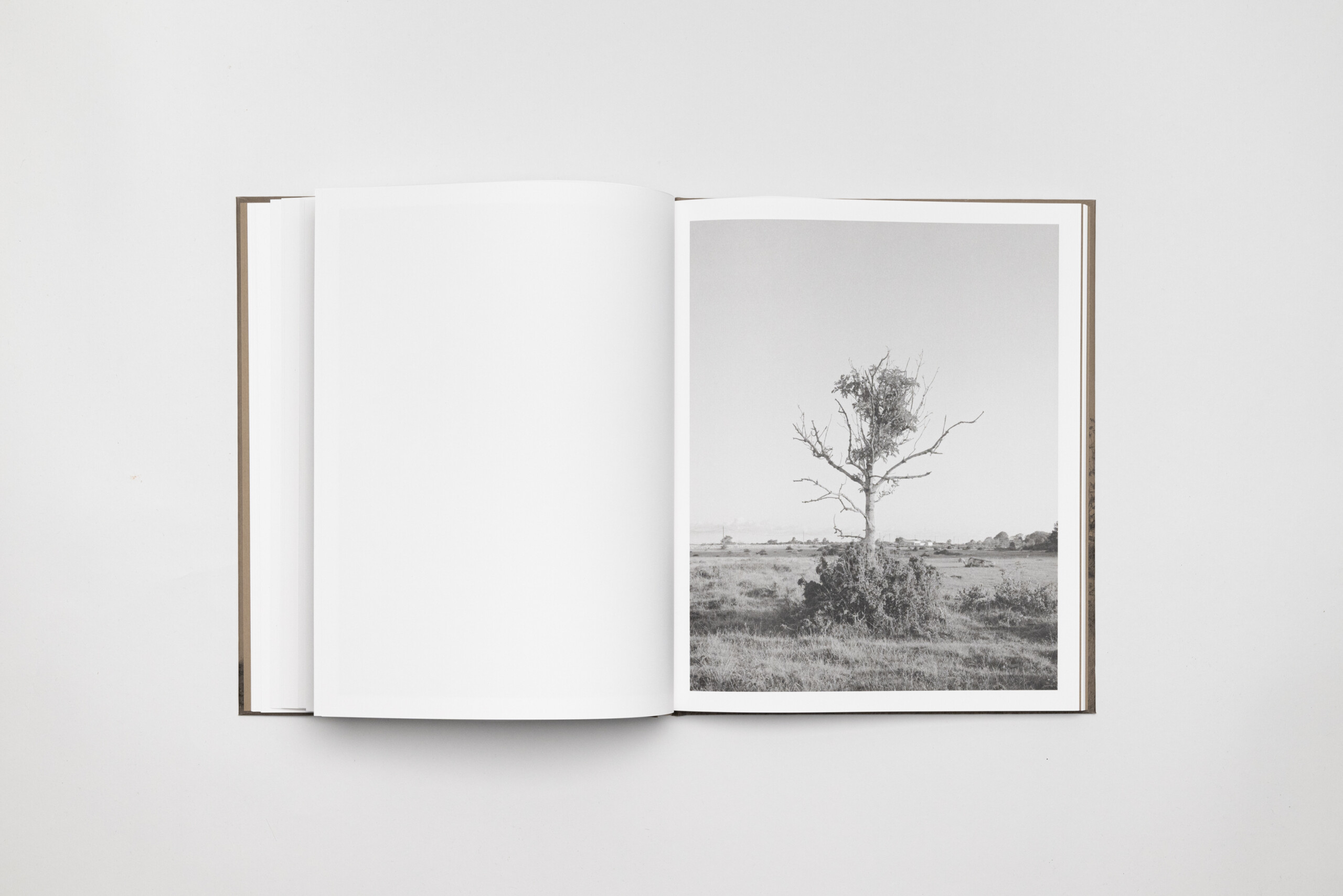 Emanuel Cederqvist, Sean Gardiner - Paler Ash - 3