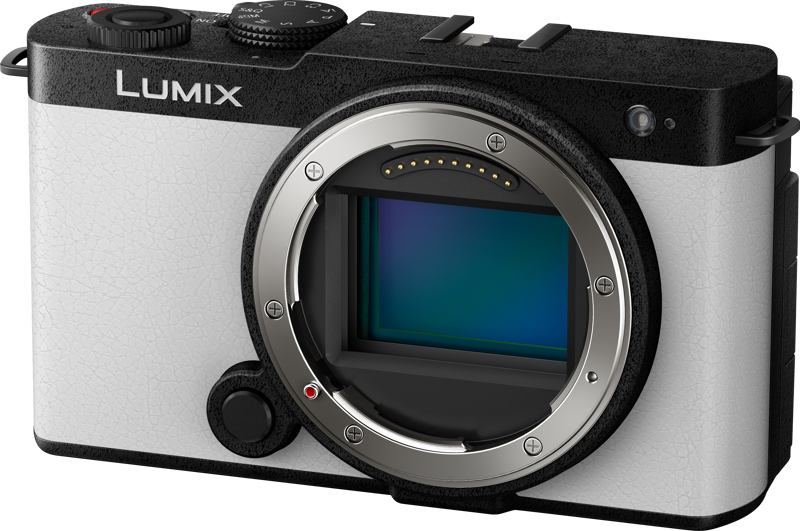 Panasonic Lumix S9 - 5