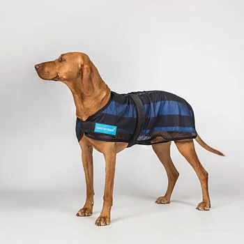 Back on Track Cool on Track Kyltäcke Hund
