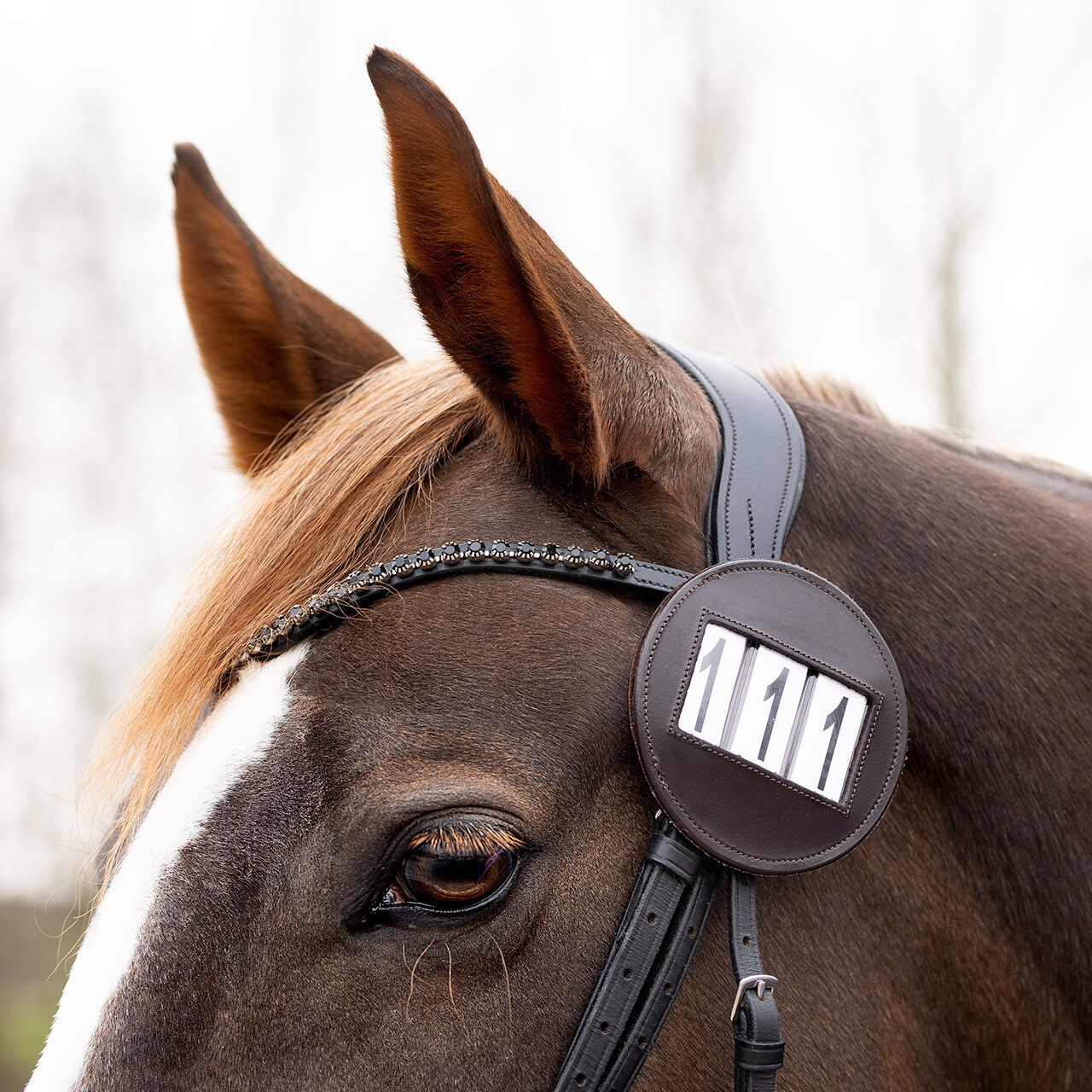 QHP Modeste Runder Nummernhalter - Braun