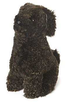 Curly Coco - Dark Brown