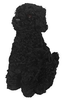 Curly Zorro - Black