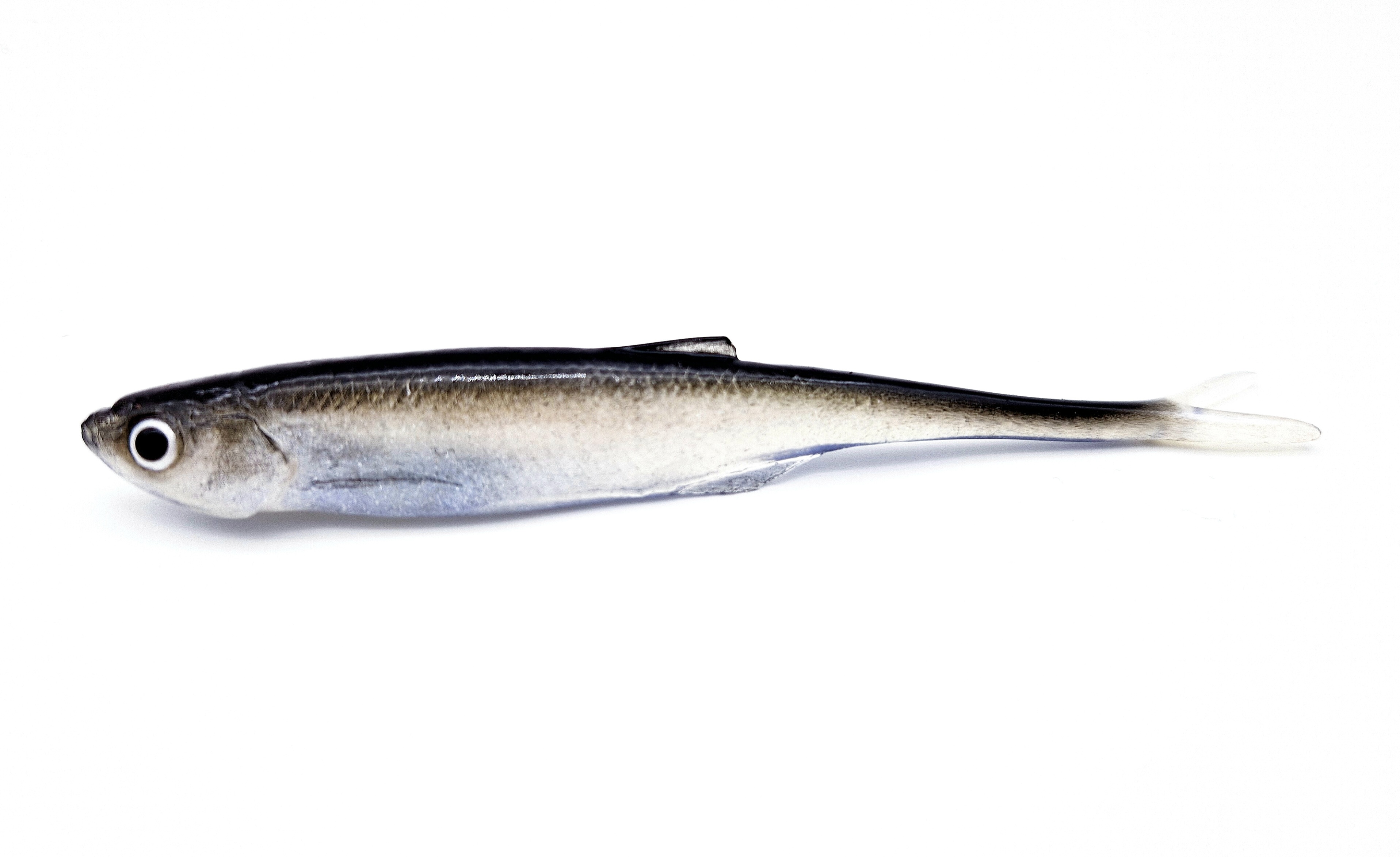 Dominator Realistic Baits Bleak V-tail 11 cm 3-pack - 2