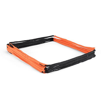 Multifunctional Agility Ladder