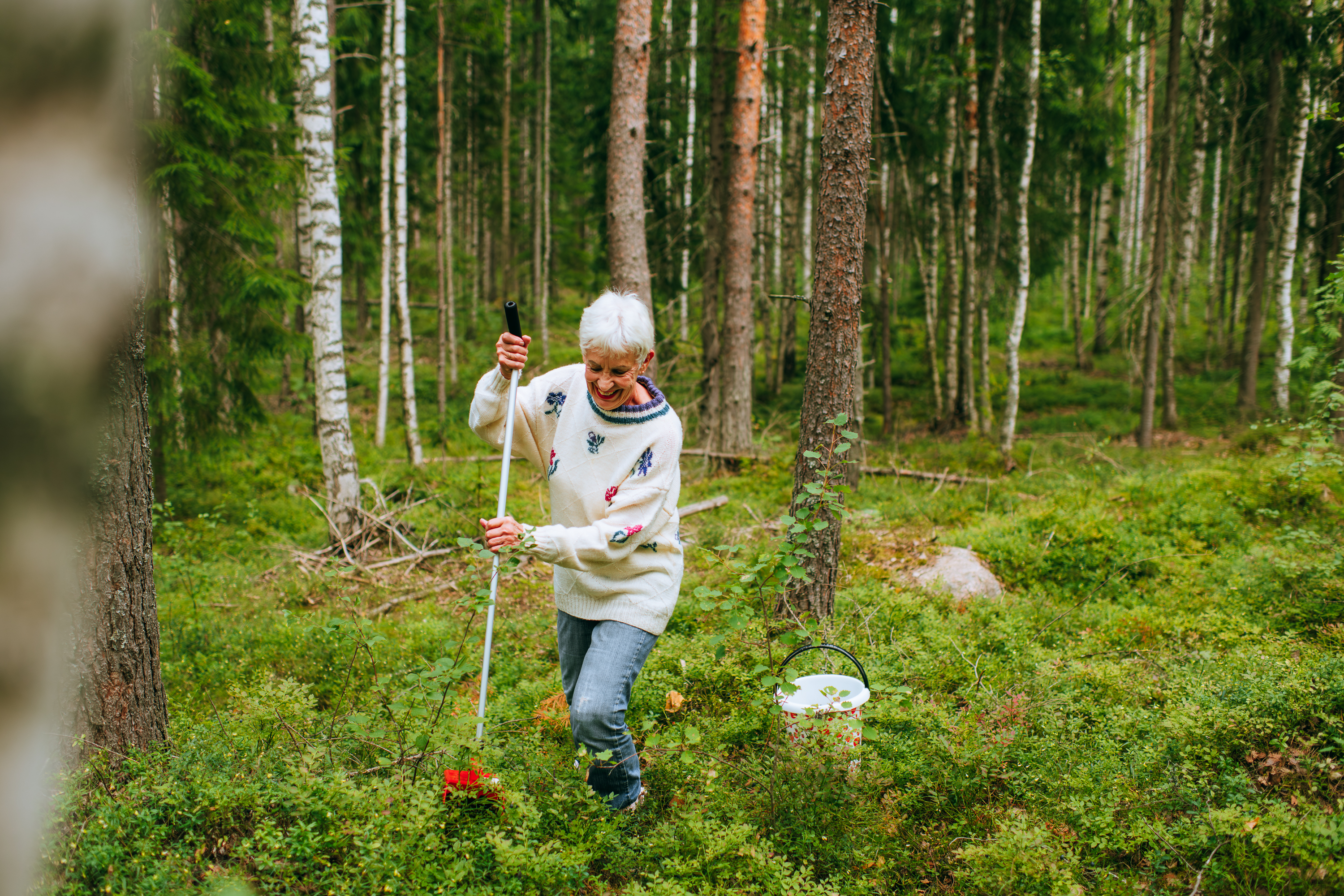 Bärplockare med teleskopskaft - 2