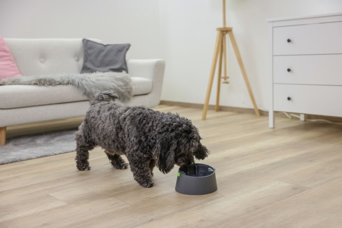 Kerbl 3-in-1 Multi Feeder Food Bowl - Anthracite / Green