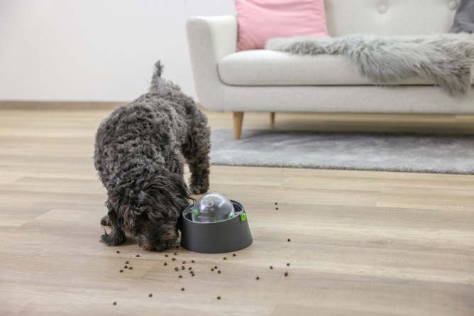 Kerbl 3-in-1 Multi Feeder Food Bowl - Anthracite / Green