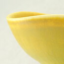 Berndt Friberg (1976) Unique Yellow Haresfur Bowl 4,5 cm